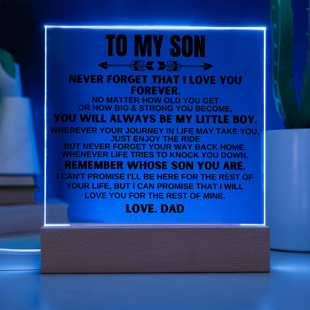 To My Son | Love Dad | LED-Lit Acrylic Plaque - AC21