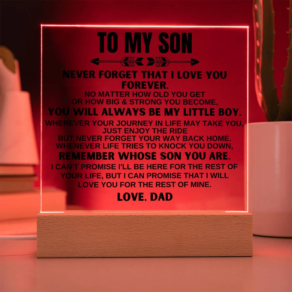 To My Son | Love Dad | LED-Lit Acrylic Plaque - AC21