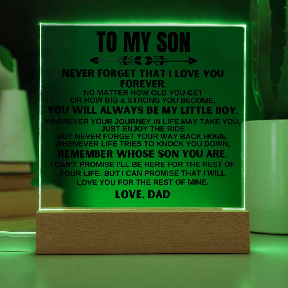 To My Son | Love Dad | LED-Lit Acrylic Plaque - AC21