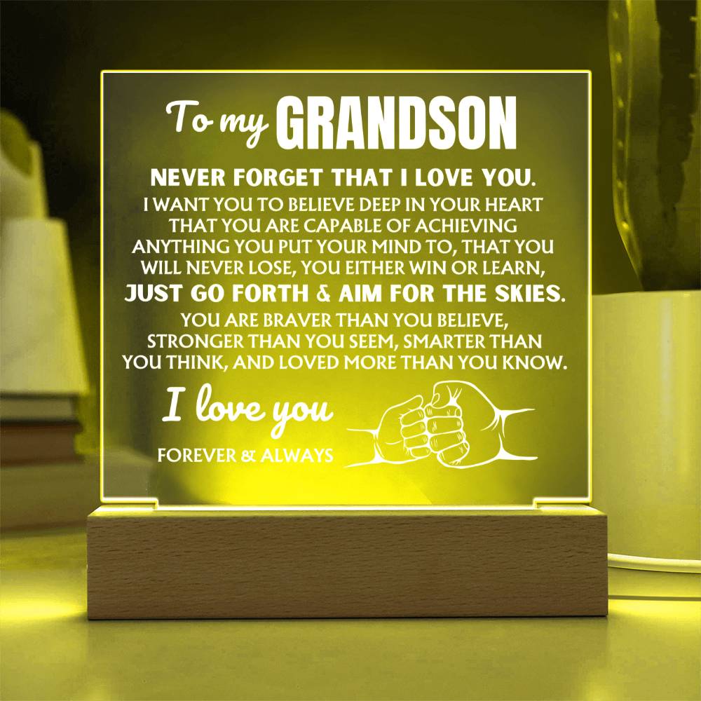 To My Grandson "You Will Never Lose" | Acrylic Lamp ❤️ AC48