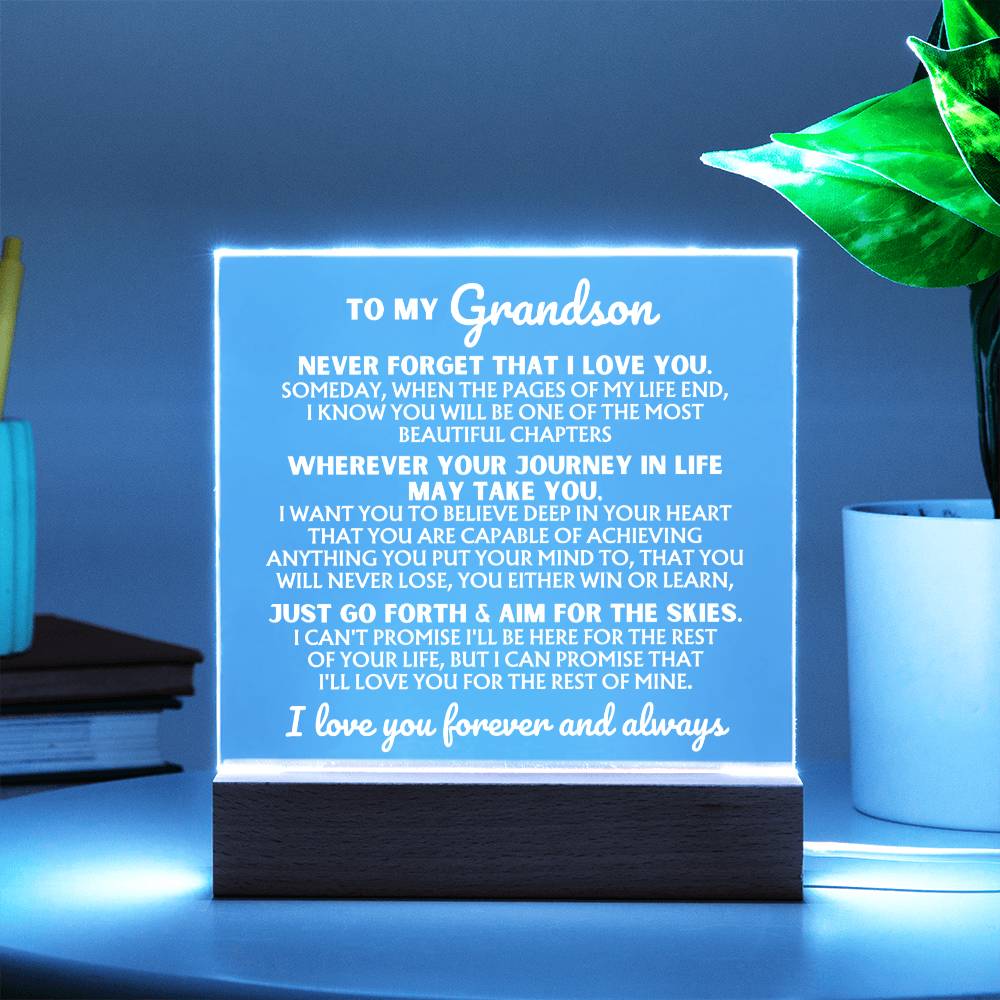 [ALMOST SOLD-OUT] To My Grandson  "I Love You Forever" | Acrylic Lamp ❤️ | AC47