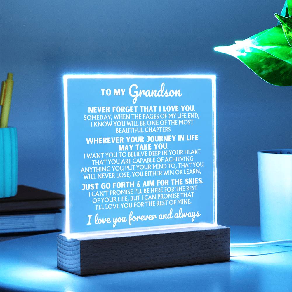 [ALMOST SOLD-OUT] To My Grandson  "I Love You Forever" | Acrylic Lamp ❤️ | AC47