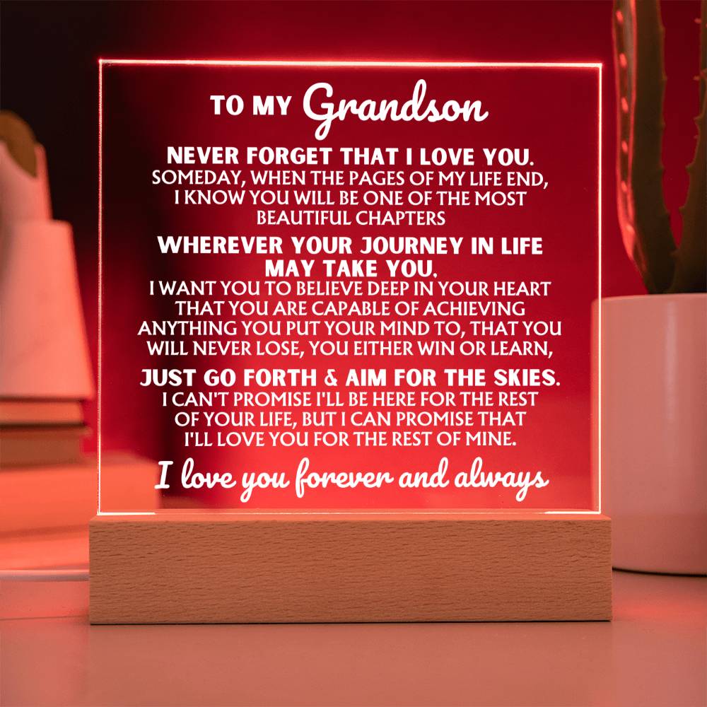 [ALMOST SOLD-OUT] To My Grandson  "I Love You Forever" | Acrylic Lamp ❤️ | AC47