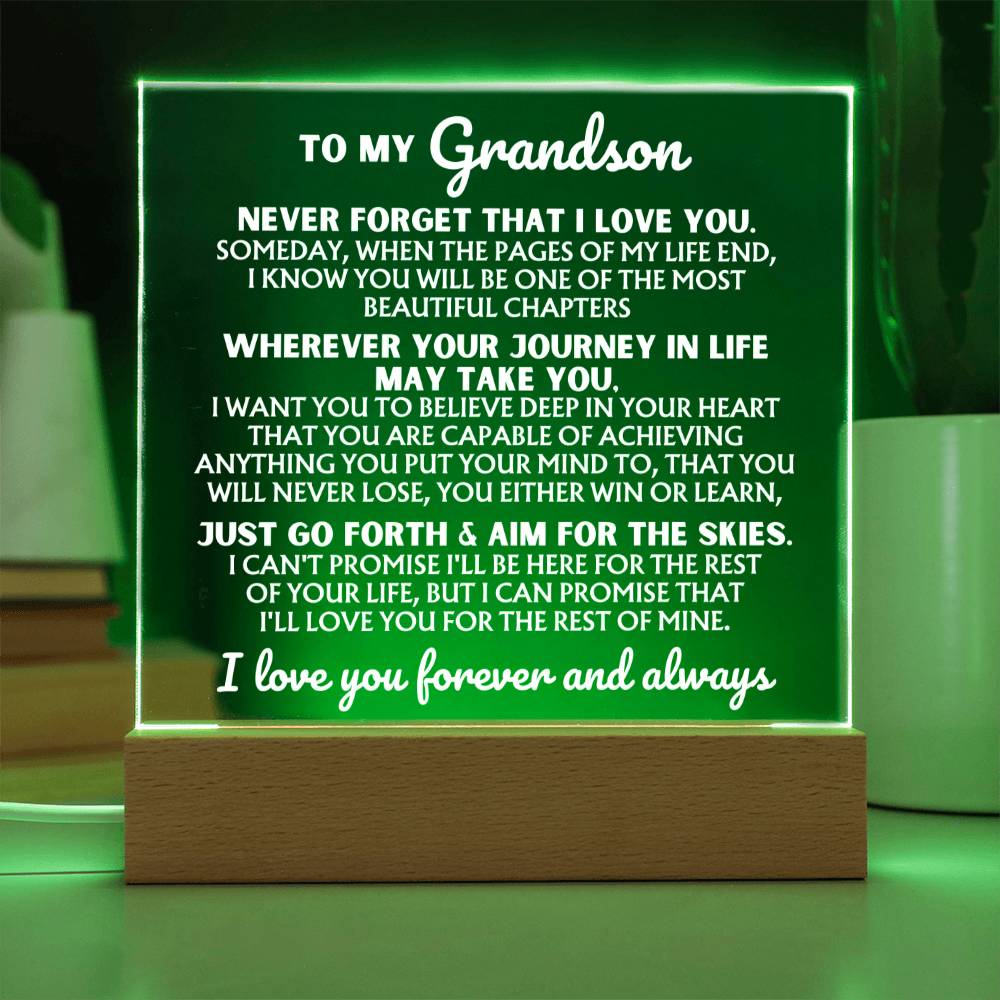 [ALMOST SOLD-OUT] To My Grandson  "I Love You Forever" | Acrylic Lamp ❤️ | AC47
