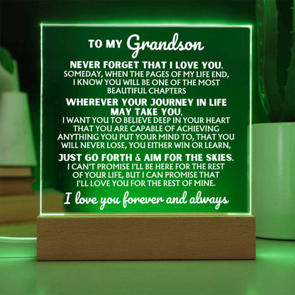 [ALMOST SOLD-OUT] To My Grandson  "I Love You Forever" | Acrylic Lamp ❤️ | AC47