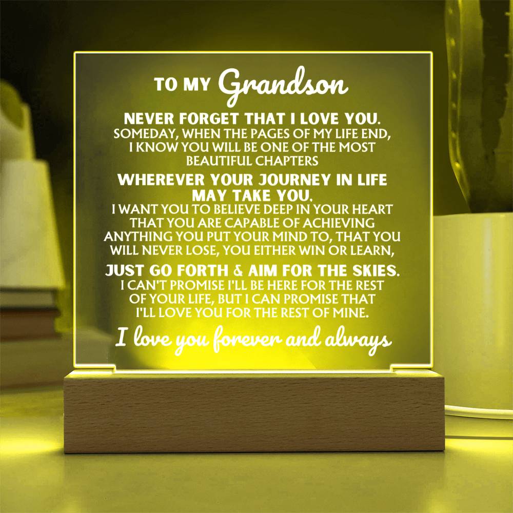 [ALMOST SOLD-OUT] To My Grandson  "I Love You Forever" | Acrylic Lamp ❤️ | AC47