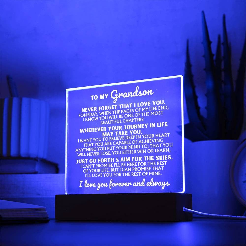 [ALMOST SOLD-OUT] To My Grandson  "I Love You Forever" | Acrylic Lamp ❤️ | AC47