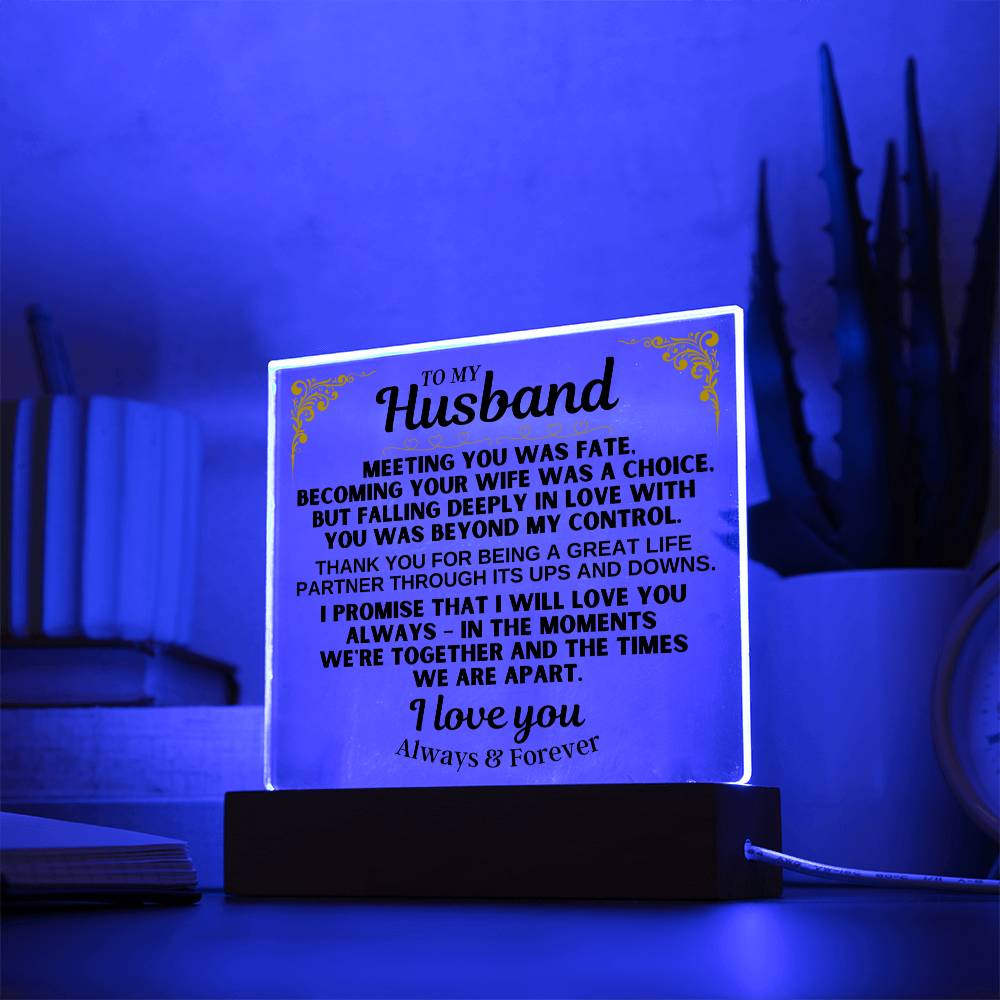 To My Husband - LED-Lit Acrylic Plaque - AC29